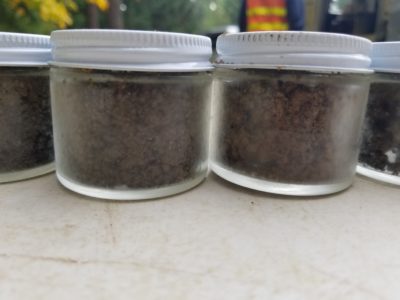 Soil Testing Company Tacoma